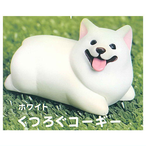 Animal Attraction Corgi sanpo [2.Kutsurogu Corgi (White)]
