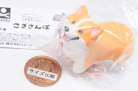 Animal Attraction Corgi sanpo [3.Sanpokarakaeritakunai Corgi (Red)]