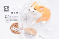 Animal Attraction Corgi sanpo [5.Bowoumete manzokugena Corgi (Red)]