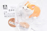 Animal Attraction Corgi sanpo [5.Bowoumete manzokugena Corgi (Red)]