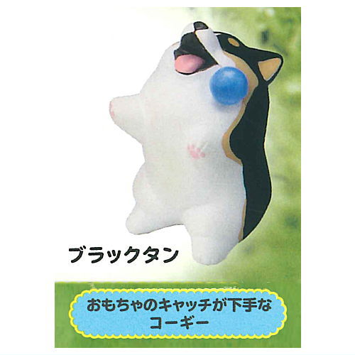 Animal Attraction Corgi sanpo [7.Omochanocatch gahetana Corgi (Black Tan)]