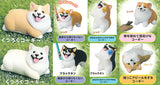 Animal Attraction Corgi sanpo [All 8 type set(Full Complete)]