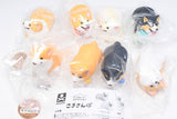 Animal Attraction Corgi sanpo [All 8 type set(Full Complete)]