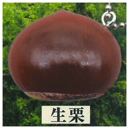 Uminosachi Yamanosachi Ball Chain Collection [3.Namaguri]