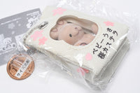 Toy Box Resident Mascot Baby Bear Sakura Castella [1.Baby rabbit sakura castella]