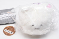 Fuwafuwa Hanimals Plush Toy [1.Cat teeth]