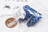 The World of Poison Dart Frogs Vol. 1 [1.Cobalt poison dart frog]
