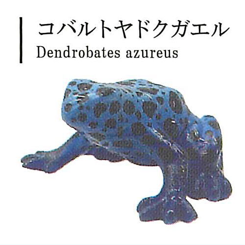 The World of Poison Dart Frogs Vol. 1 [1.Cobalt poison dart frog]