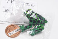The World of Poison Dart Frogs Vol. 1 [2.Spotted poison dart frog]