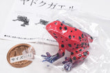 The World of Poison Dart Frogs Vol. 1 [3.Strawberry poison dart frog]