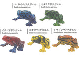 The World of Poison Dart Frogs Vol. 1 [All 5 type set(Full Complete)]
