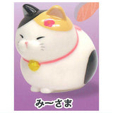 Higemanju mocchiri sofubi Part.3 [2.Mi-sama ]