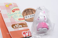 Mejirushi Accessory Sanrio Characters All Stars Part.1 [2.Cheery Chums]