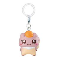 PetitCure Precure Fairies Mejirushi Accessory [6.PetitCure Nuts]