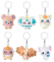 PetitCure Precure Fairies Mejirushi Accessory [All 6 type set(Full Complete)]