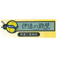 Haikyu!! x MIKASA Banner & V200W international tournament official match ball collaboration rubber keychain [3.Date Technical High School]