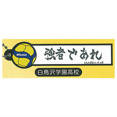 Haikyu!! x MIKASA Banner & V200W international tournament official match ball collaboration rubber keychain [4.Shiratorizawa Academy]