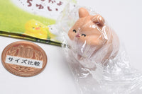 Hamutto! Nakayoshi chuinzu [3.Kinako]