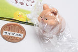 Hamutto! Nakayoshi chuinzu [3.Kinako]
