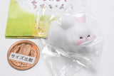 Hamutto! Nakayoshi chuinzu [5.Bani]