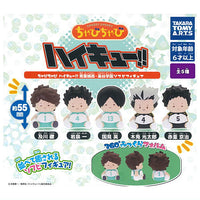 Chubby Chubby Haikyuu!! Aoba Johsai Fukurodani Academy Sofubi Figure [All 5 type set(Full Complete)]