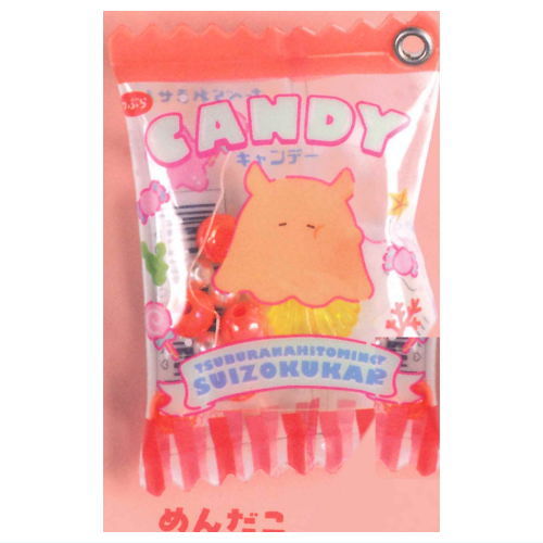 Tsuburana hitomi no Aquarium Shaka Shaka Candy Mascot [5.Mendako]