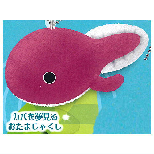 Shinkawoyumemiru Tadpole Mocchimochi Mascot [3.Hippo wo yumemiru tadpoles]