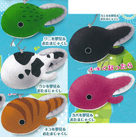 Shinkawoyumemiru Tadpole Mocchimochi Mascot [All 5 type set(Full Complete)]