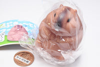 PuCute! Marmot [2.Red]