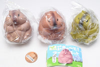 PuCute! Marmot [All 3 type set(Full Complete)]