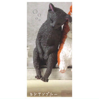 Isshoninenne Nyanko [1.Russian Blue]