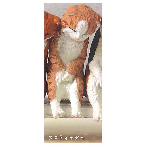 Isshoninenne Nyanko [3.Scottish]
