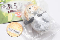 Buraburari-zu yureru wankotachi Part.2 [5.Shih Tzu]
