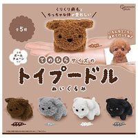 Palm-sized toy poodle stuffed toy [All 5 type set (Full Complete)]