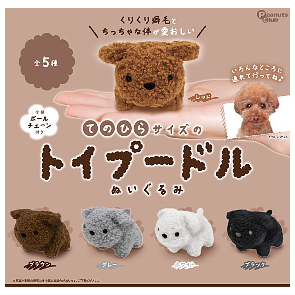 Palm-sized toy poodle stuffed toy [All 5 type set (Full Complete)]