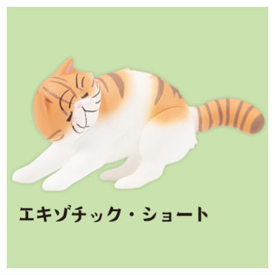 Kaze ni mo makezu. Mascot figure Part.3 [4.Exotic Shorthair]