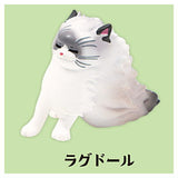 Kaze ni mo makezu. Mascot figure Part.3 [5.Ragdoll]