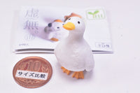 KYOMU.(Sora) [1.Duck]