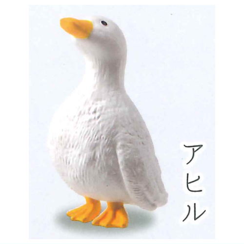 KYOMU.(Sora) [1.Duck]