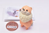 KYOMU.(Sora) [2.Pomeranian]