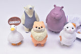 KYOMU.(Sora) [All 5 type set(Full Complete)]