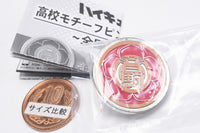 Haikyu!! High School Motif Pin Badge Part.3 Nationwide Edition [1.Nekoma High School]