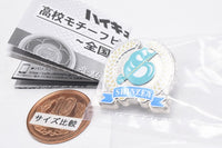 Haikyu!! High School Motif Pin Badge Part.3 Nationwide Edition [4.Shinzen High School]