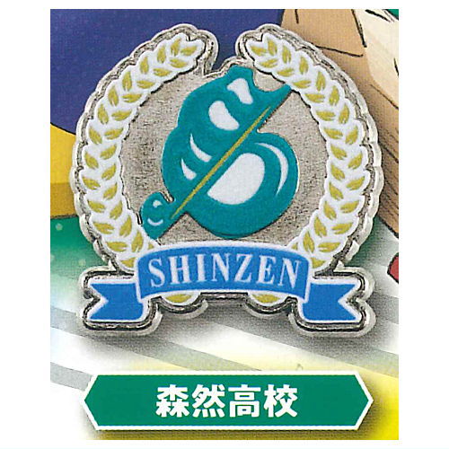 Haikyu!! High School Motif Pin Badge Part.3 Nationwide Edition [4.Shinzen High School]