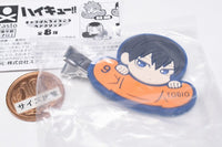 Haikyu!! Charabanchoukou Hair Clip [2.Tobio Kageyama]