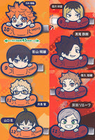 Haikyu!! Charabanchoukou Hair Clip [All 8 type set (Full Complete)]