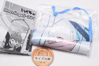 Haikyu!! Morning Garland Collection [4.Toru Oikawa]