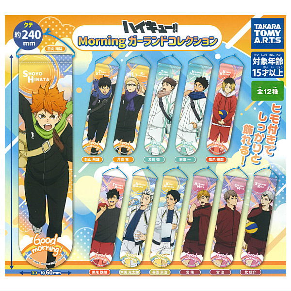 Haikyu!! Morning Garland Collection [All 12 type set(Full Complete)]