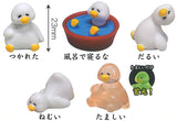 Taidakku [All 5 type set(Full Complete)]
