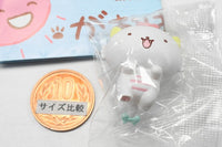 Sanrio Gaopowerroo powerful sugiru dinosaur [1.Gao]